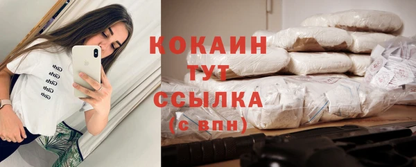 гашик Алзамай