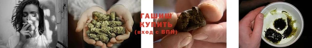 гашик Алзамай