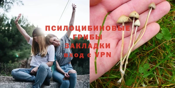 прущая мука Краснослободск